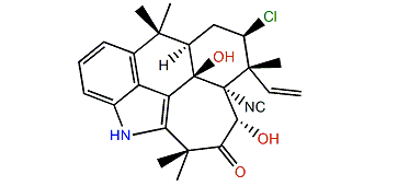 Ambiguine O isonitrile